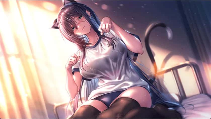 甜蜜女友2+ アマカノ2+精翻 版插画